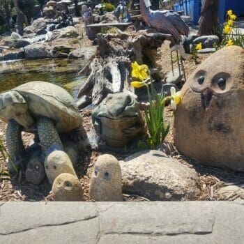 img 20220420 122515211 hdr