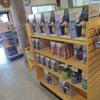 img 20220303 162549041