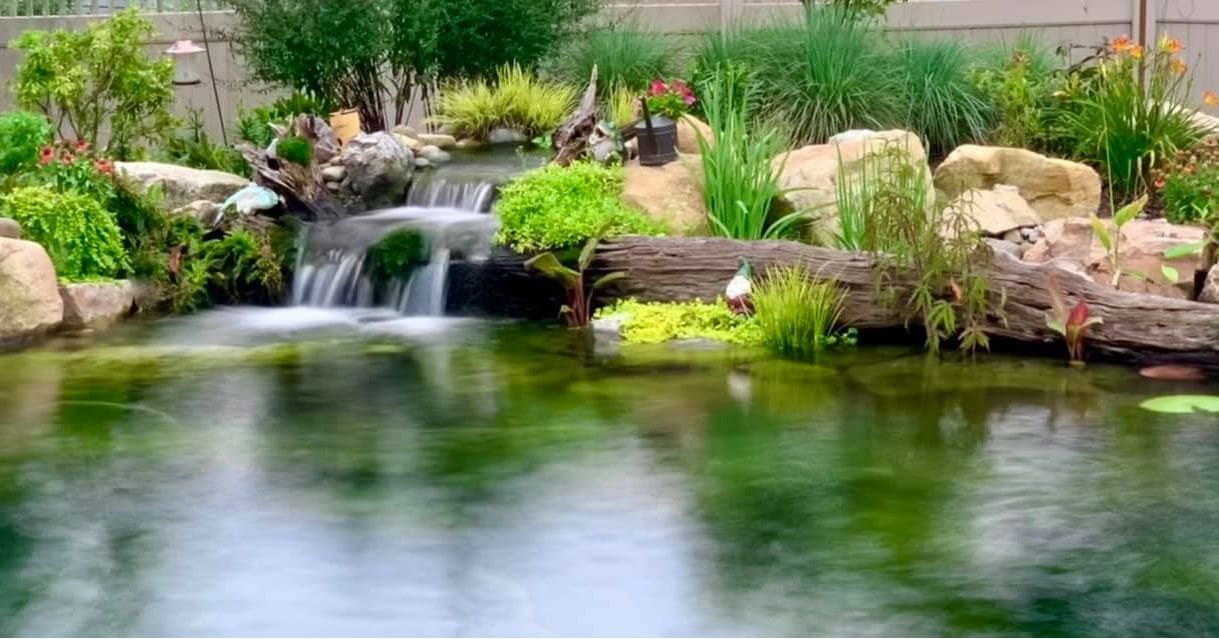 228576452 10161085023332678 8734695803624554598 n