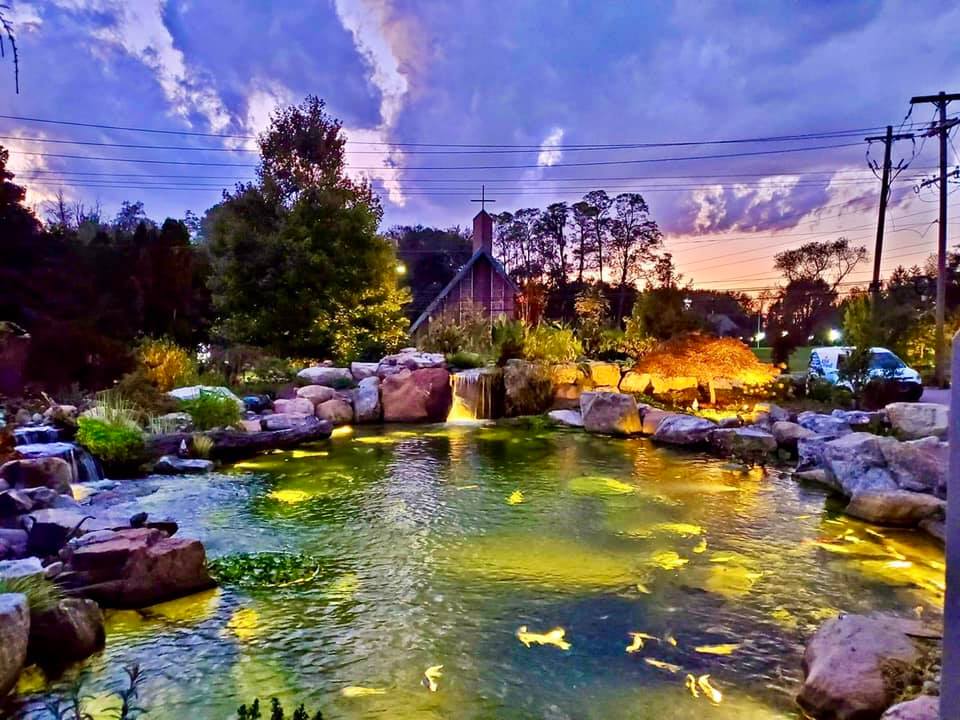 252295162 10161313028692678 2010894009585801326 n