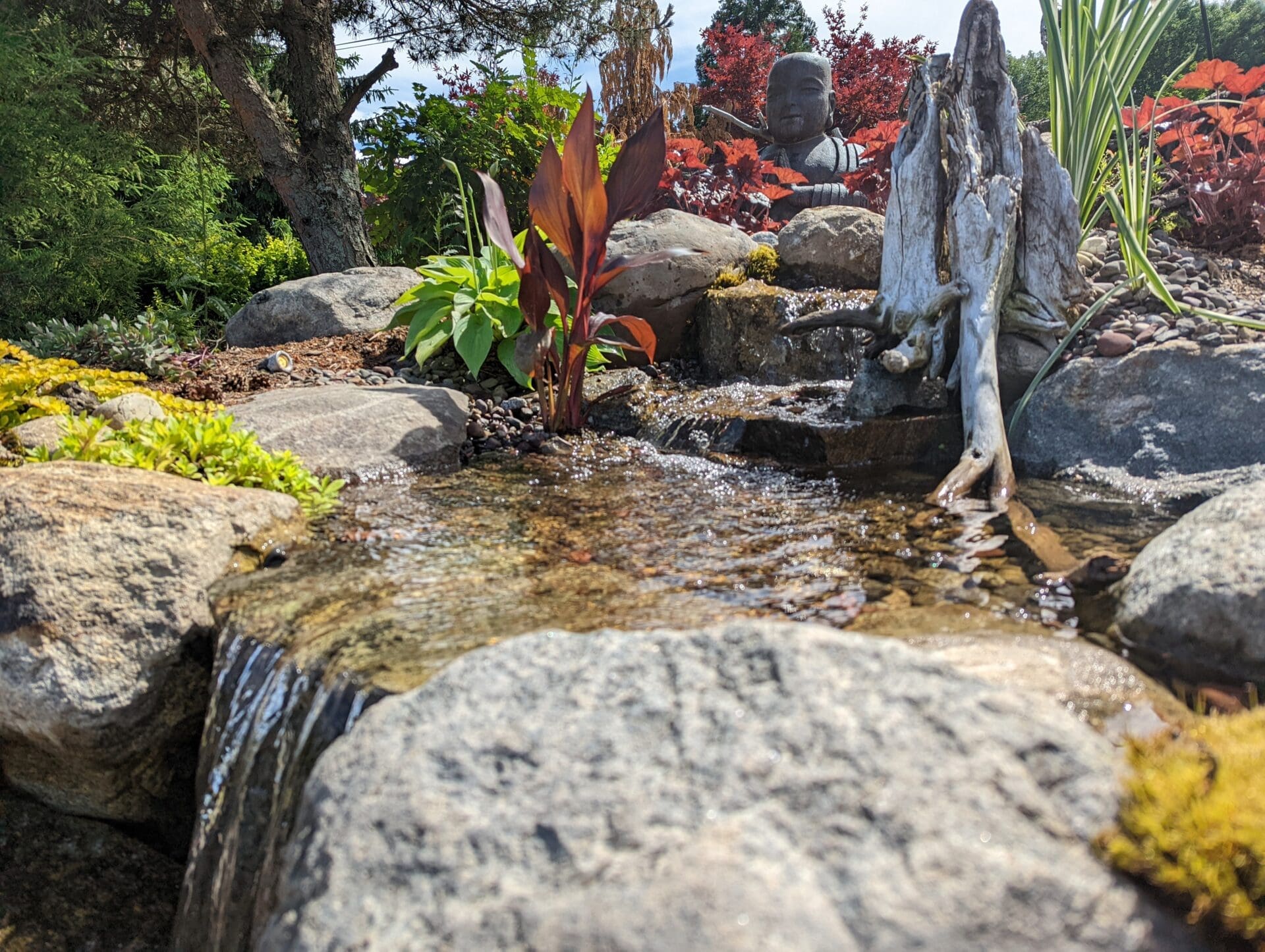 pxl 20220610 191902528