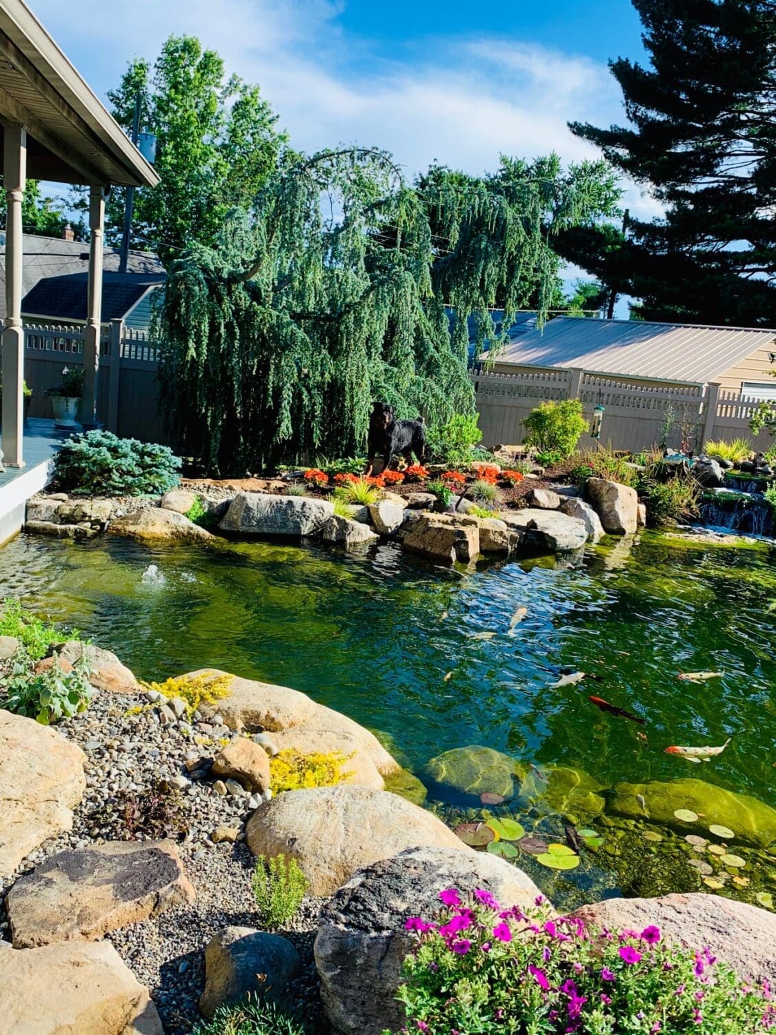 207941384 10161003355347678 1693898628898730741 n