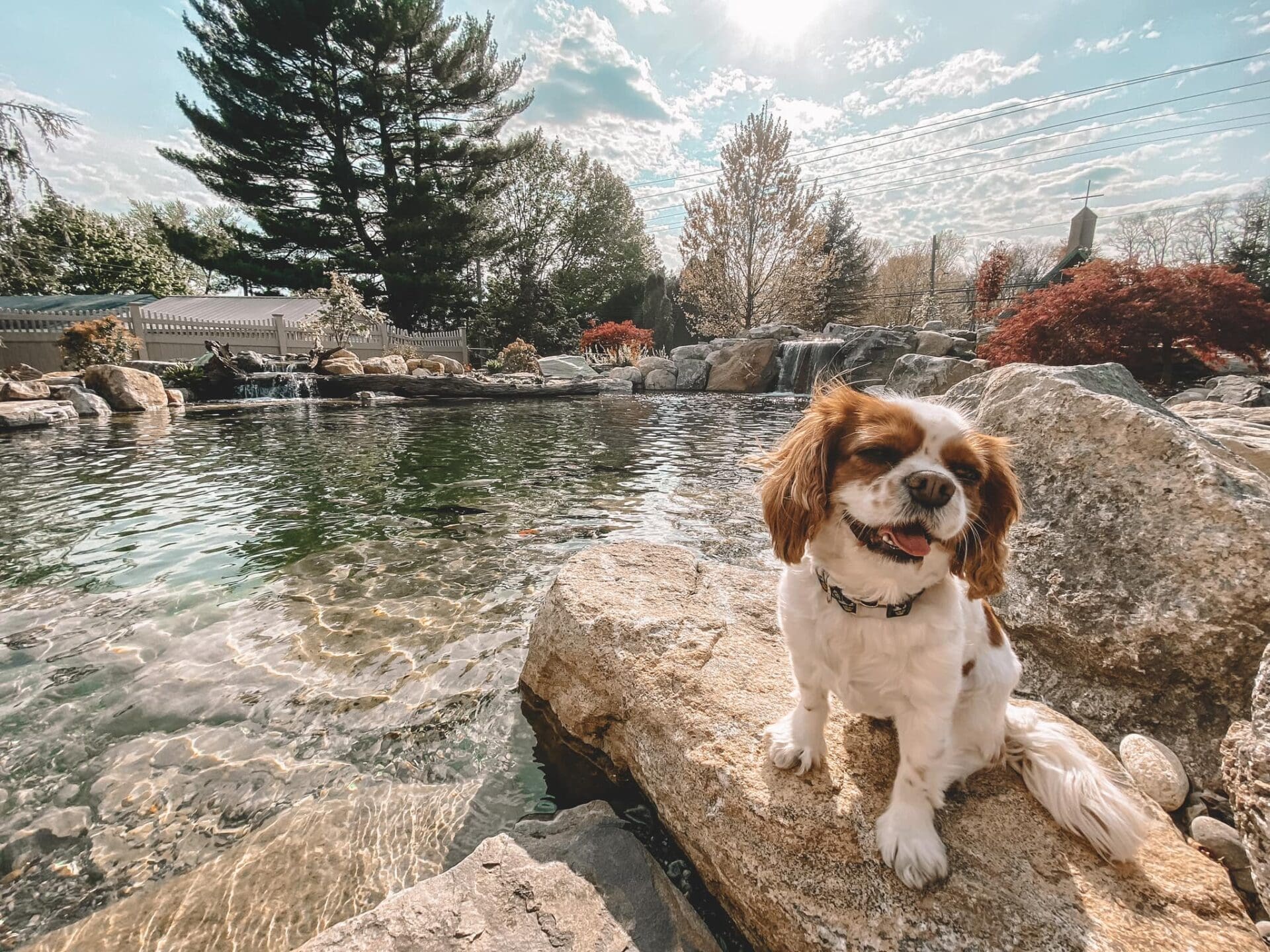 313404933 519321423545843 8878969421549368905 n