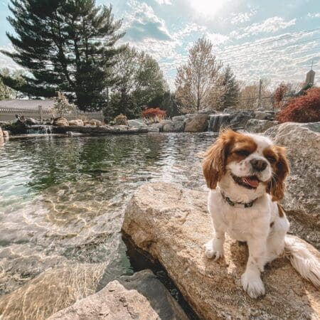 313404933 519321423545843 8878969421549368905 n