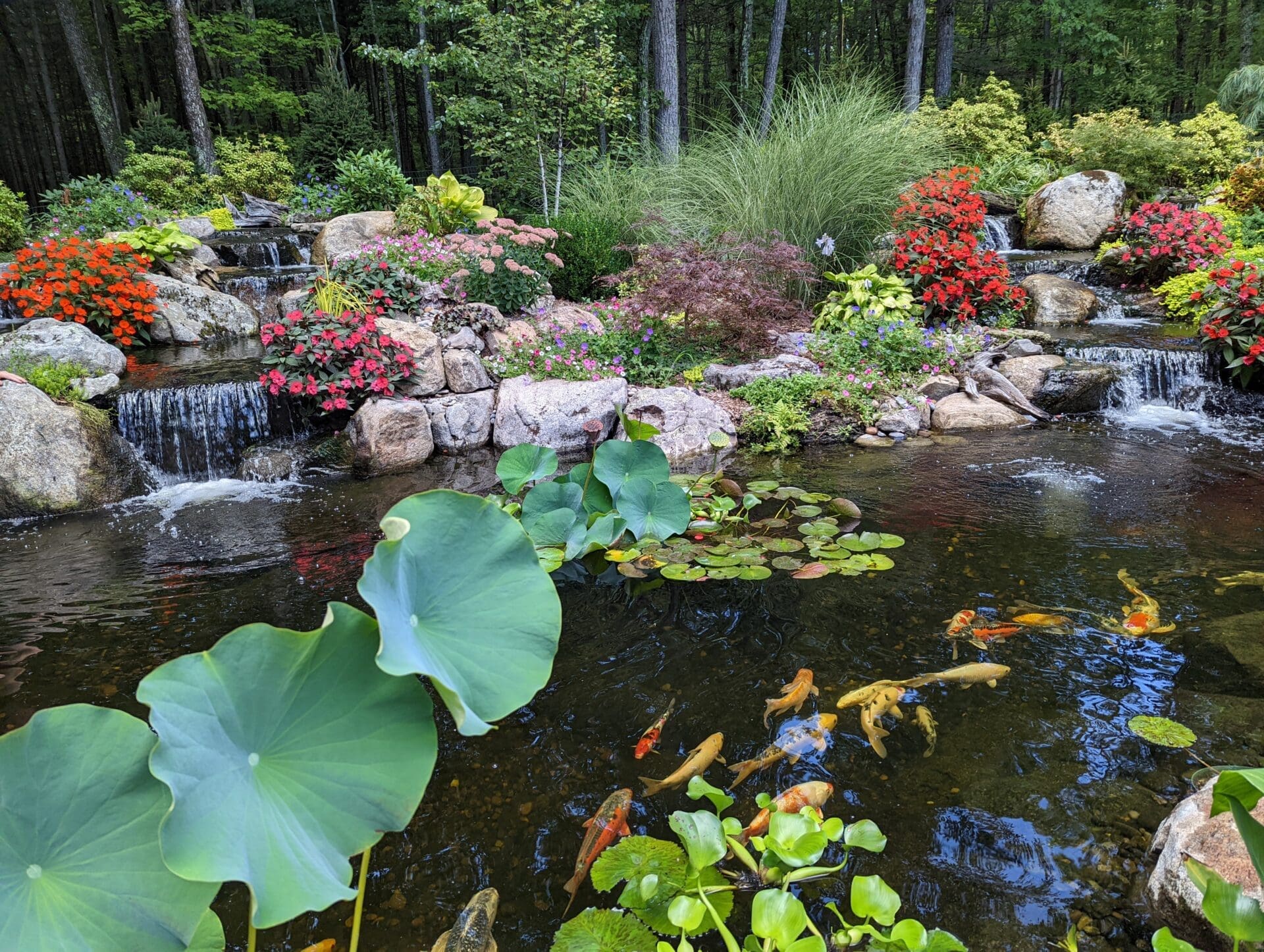 pxl 20220908 190216875 (1)