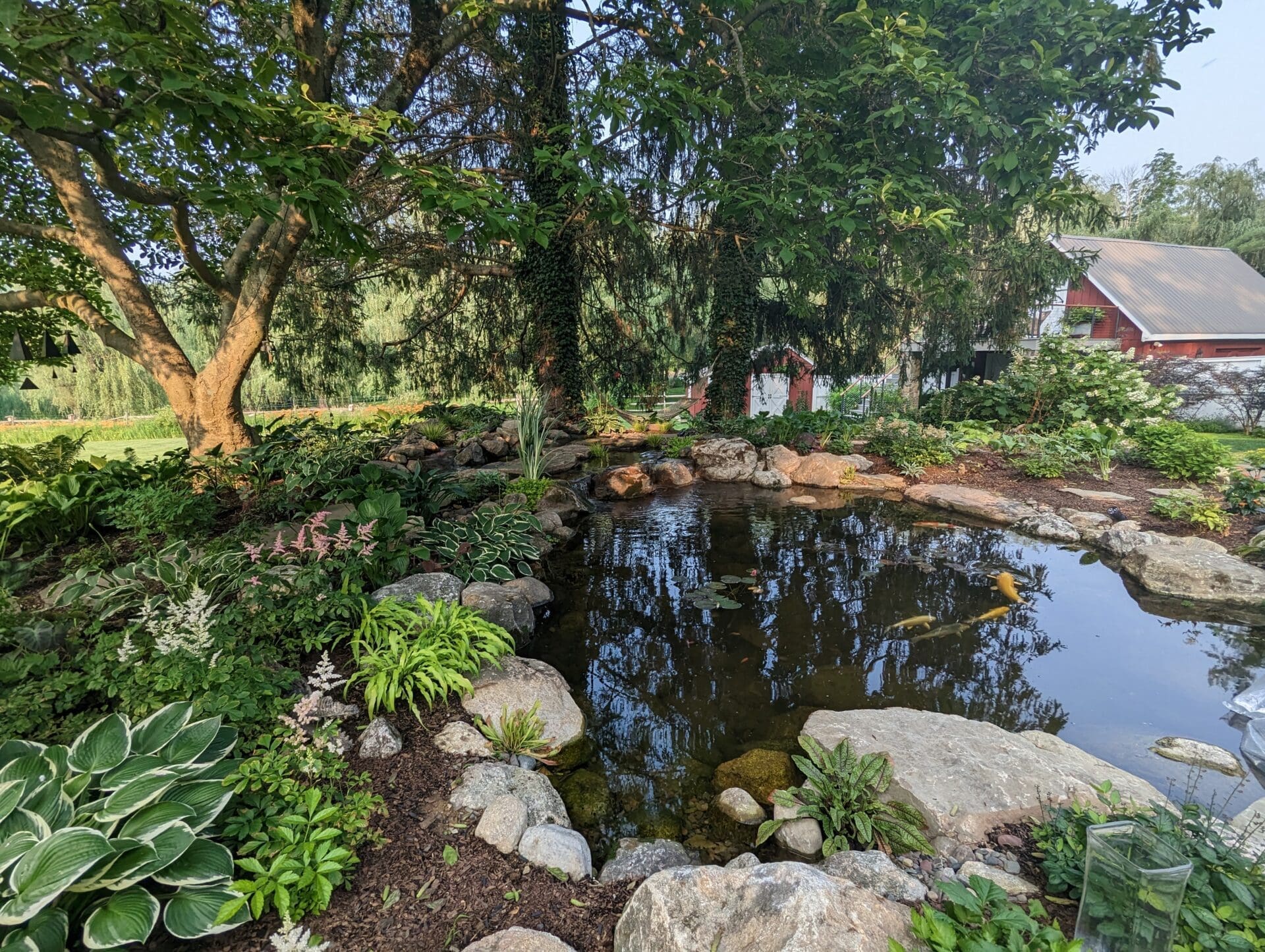 pxl 20230629 222417013