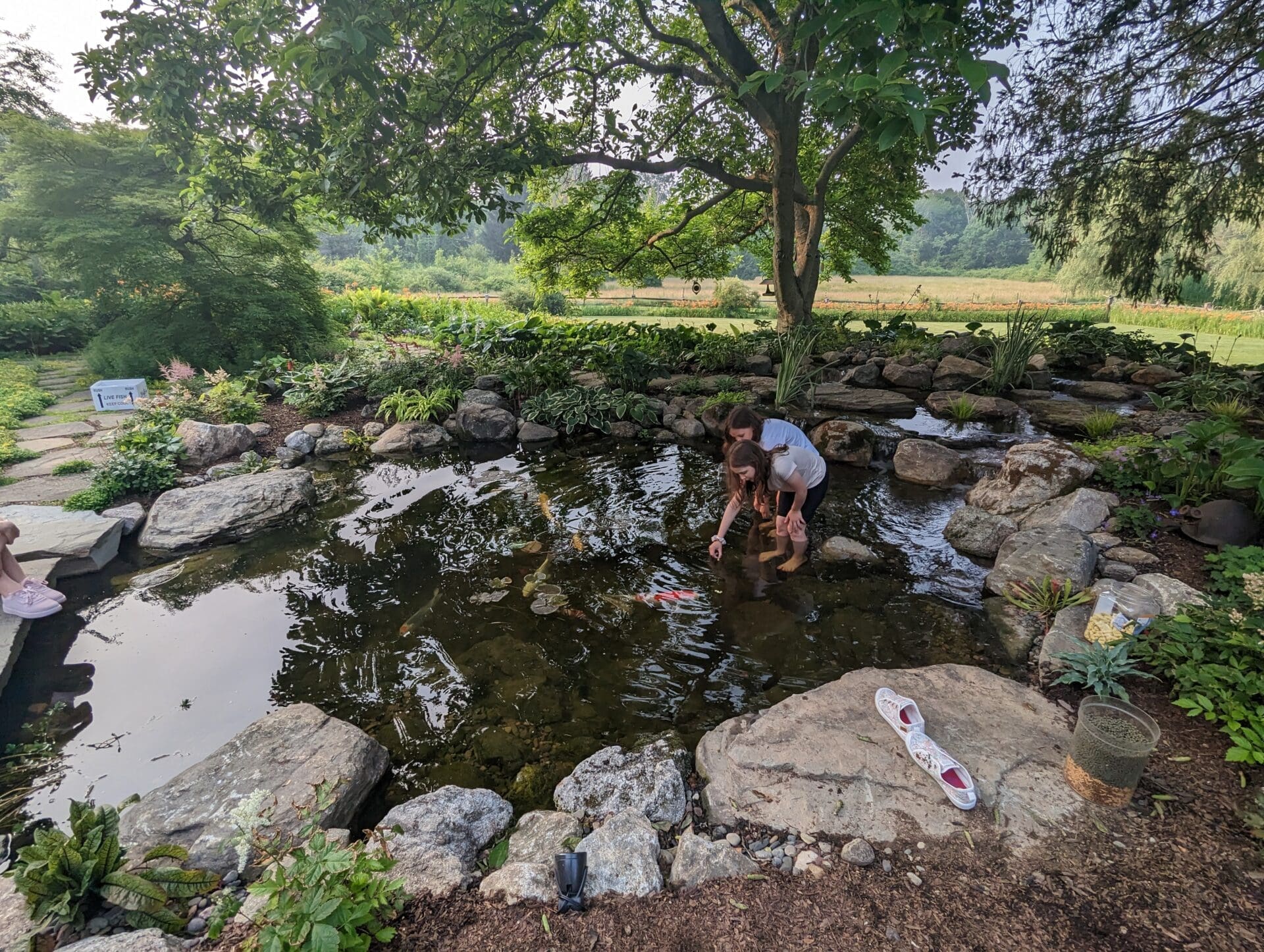 pxl 20230629 225539603