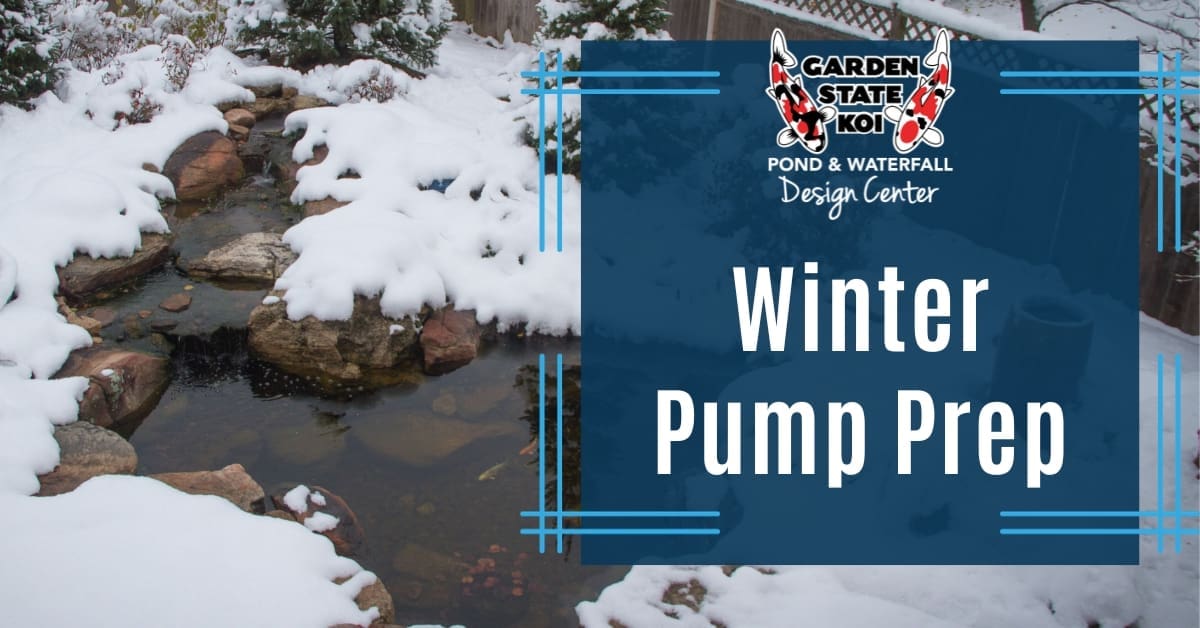 Winter Pump Prep