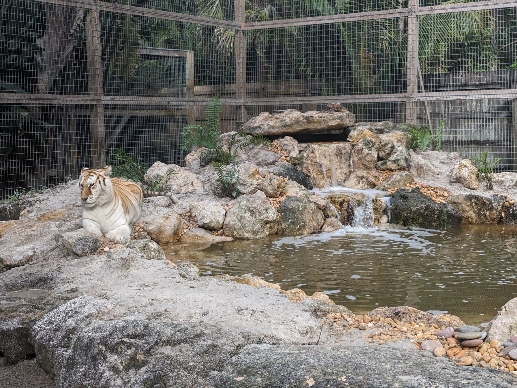 pxl 20240127 145303035 compressed