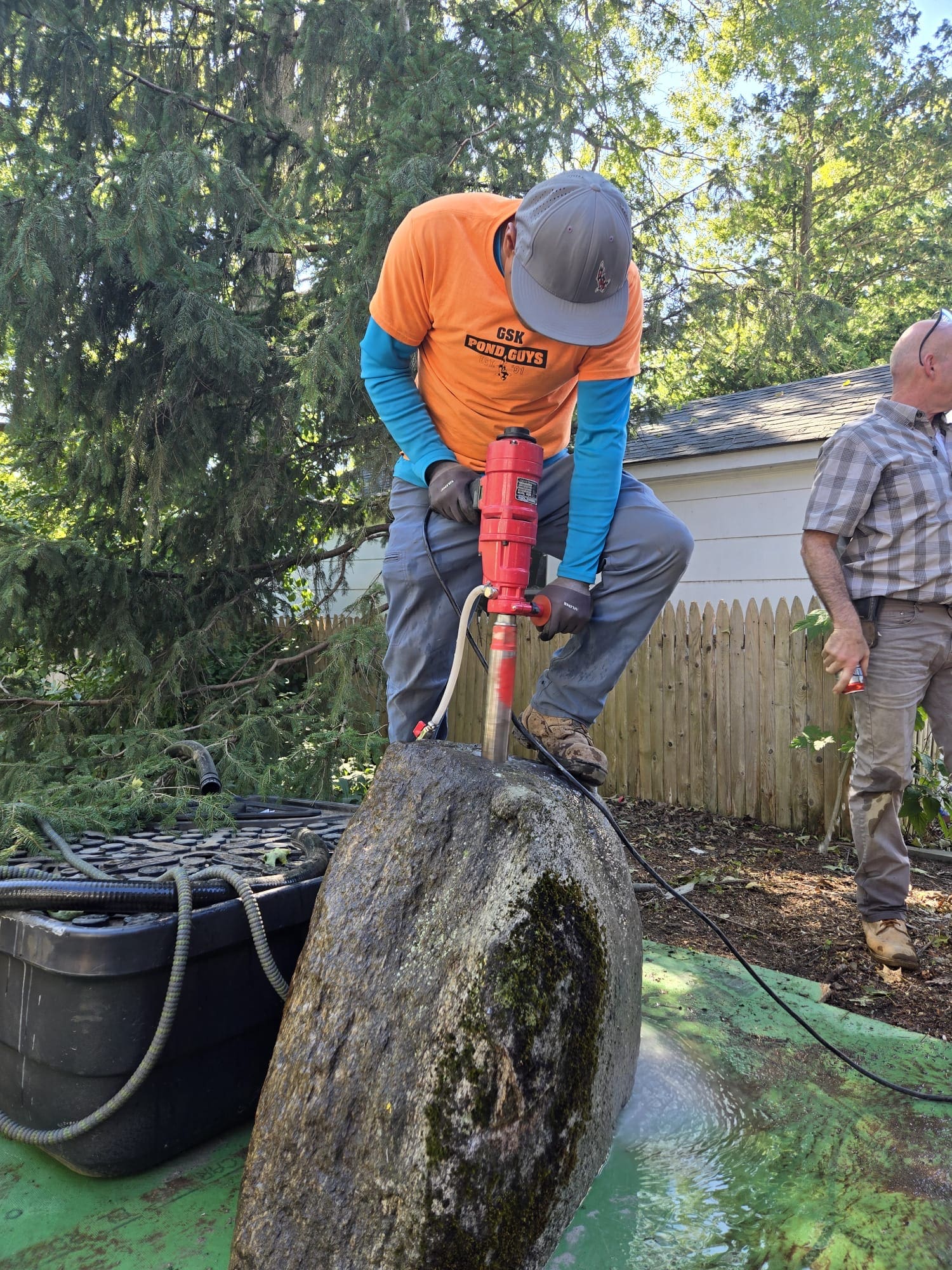 f209bfa8 e0f6 45d6 bf1d 90ac9dee1642