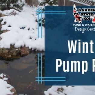 Winter Pump Prep