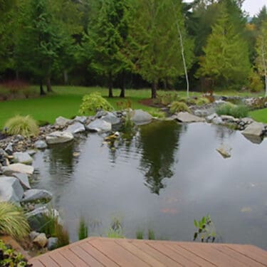 natural pond with epdm liner3