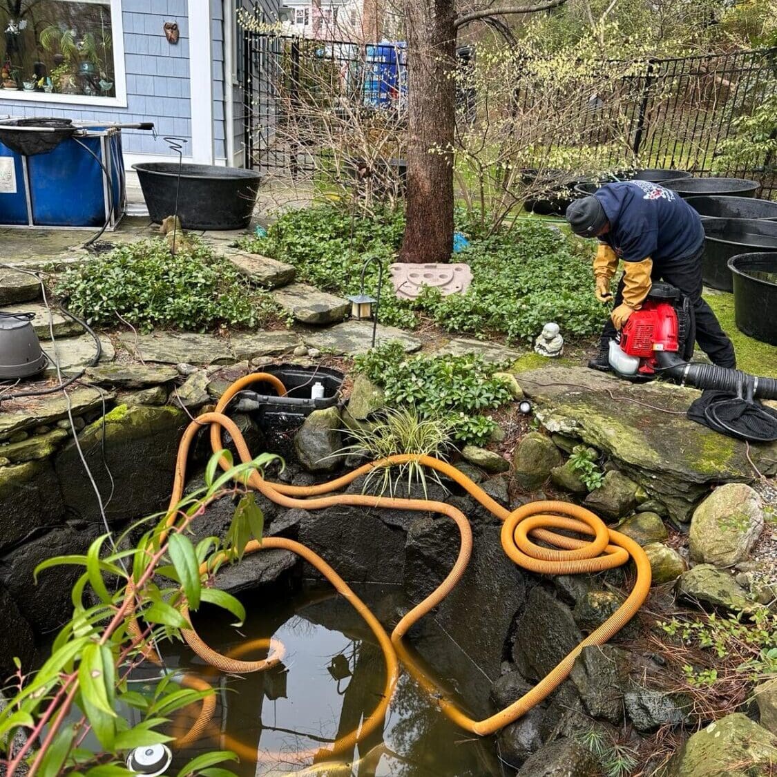 pond drain and clean