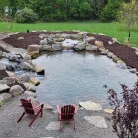 pond with wetland